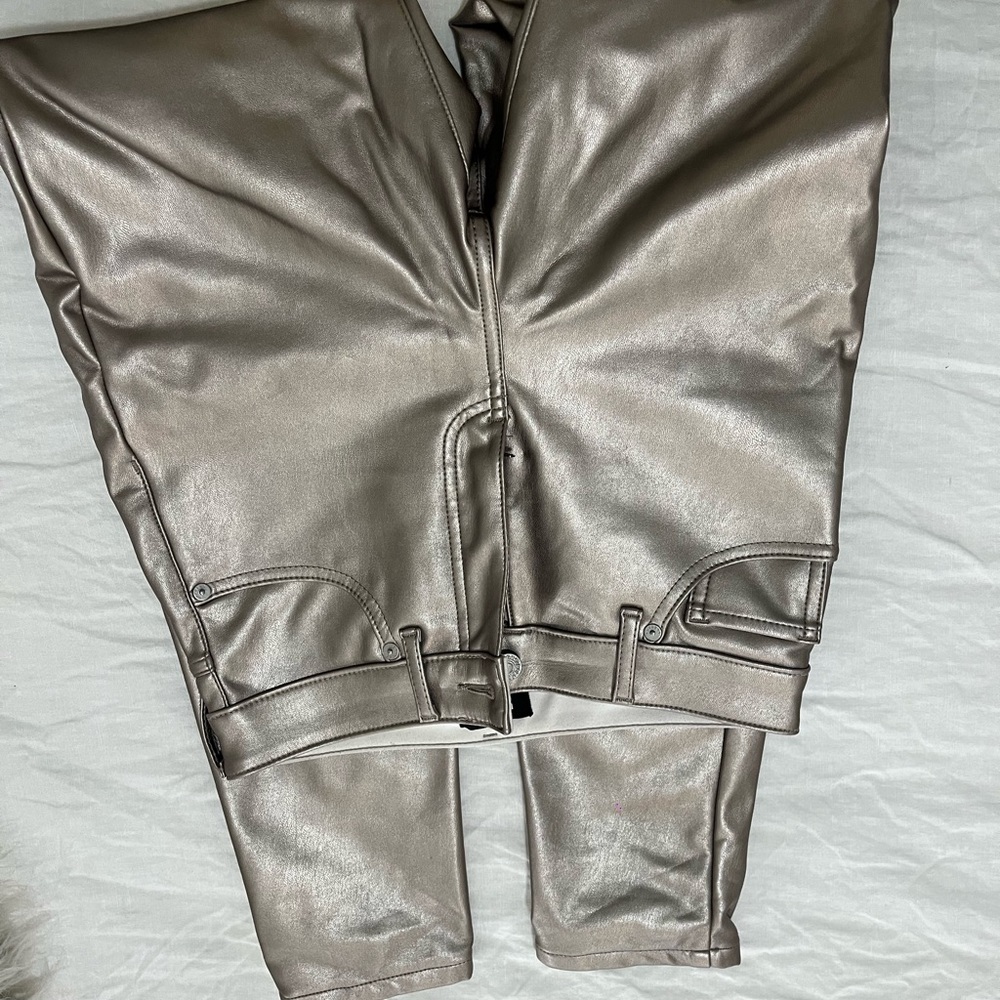 Express Metallic Pants